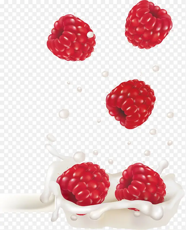 矢量手绘树莓