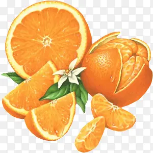 橘子 橙子 png素材
