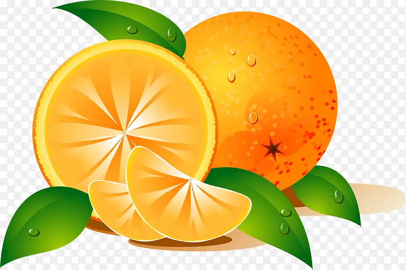 手绘橙子水果新鲜