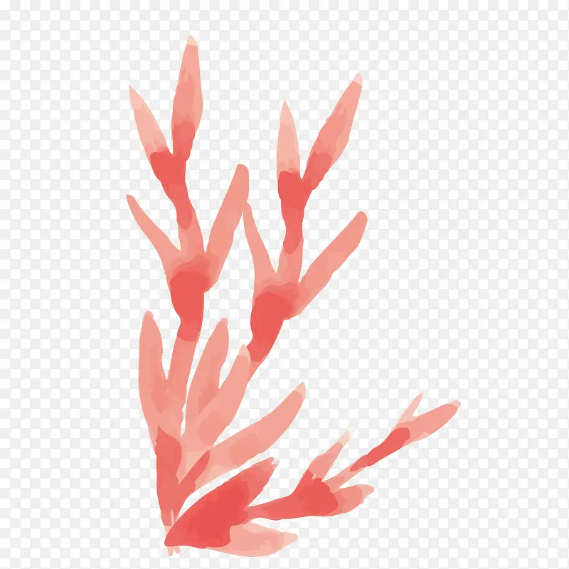 红色水彩植物
