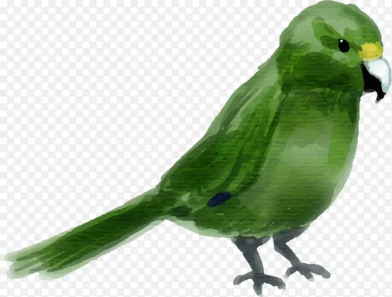 水彩动物绿色鹦鹉