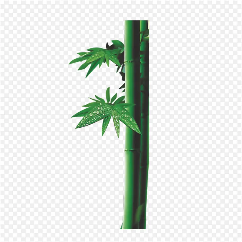 竹叶