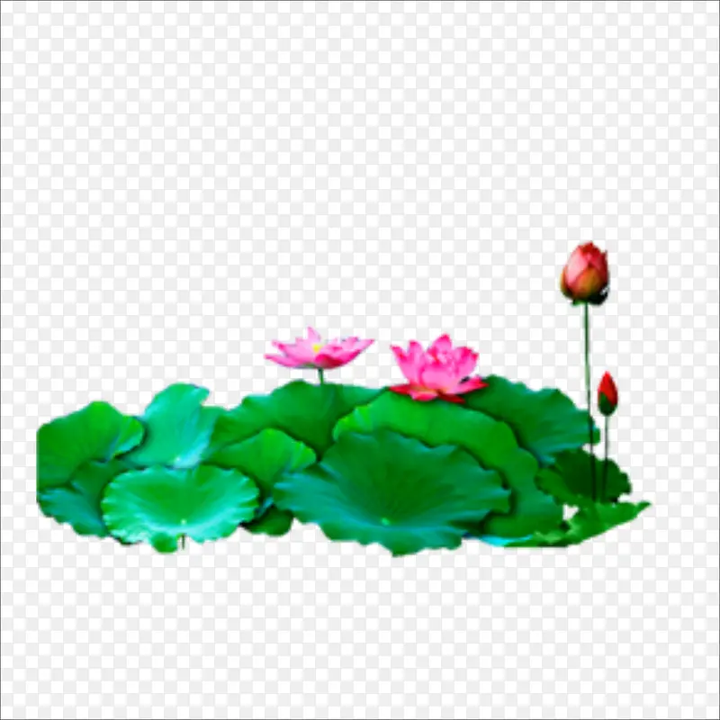 中秋节