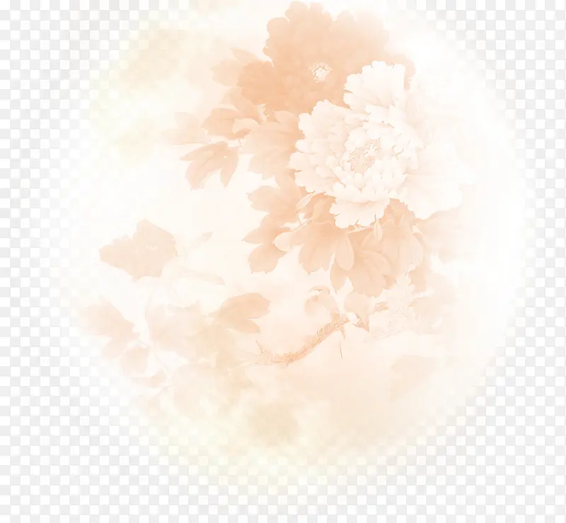 月亮