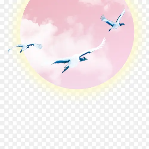 中秋节素材 月亮