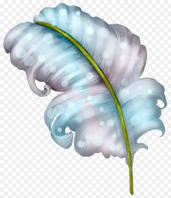 漂浮的羽毛
