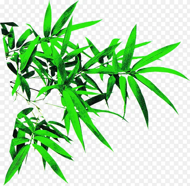 绿色环保竹叶装饰春天