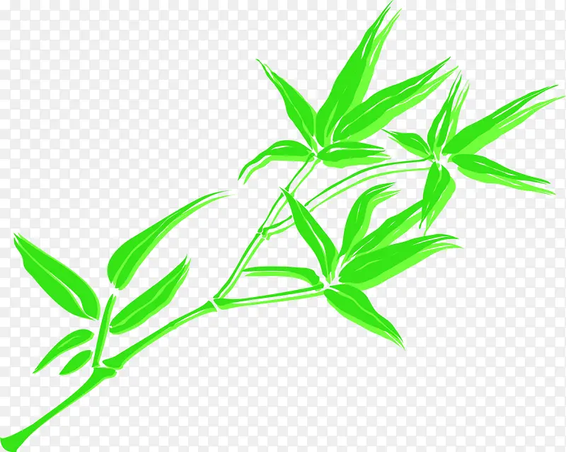 手绘绿色竹叶装饰插图