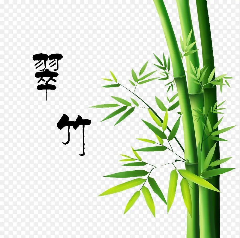 竹子PNG图片素材下载_图片编号10216960-PNG素材网