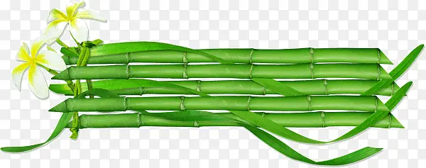 竹子标题框