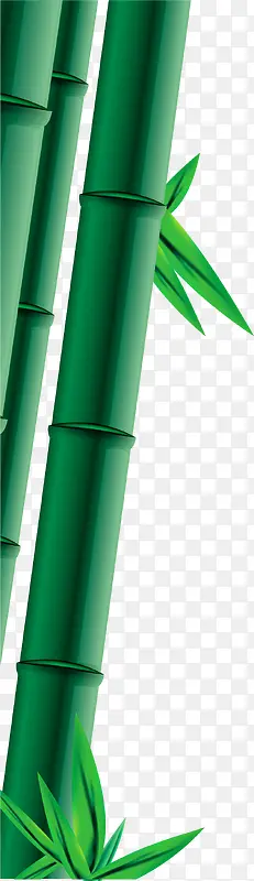 端午粽情墨绿色竹子