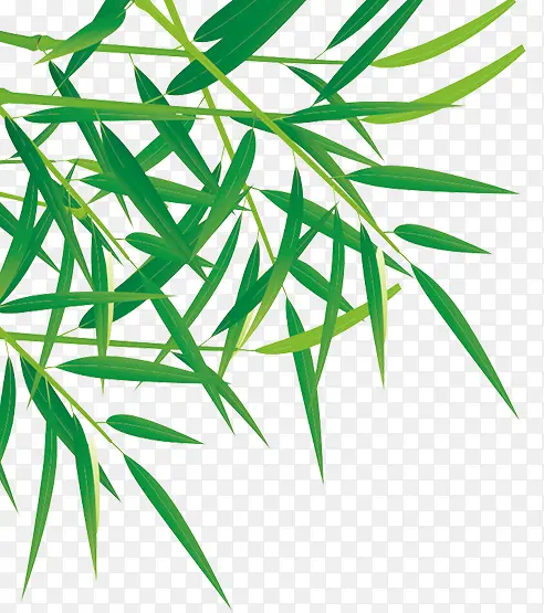 翠绿茂盛竹子