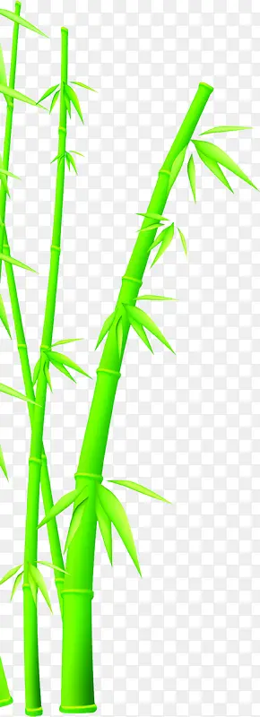 绿色竹子端午节图片