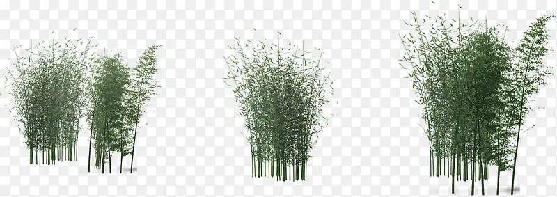 绿色夏季竹子装饰