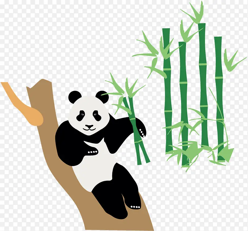 竹子熊猫