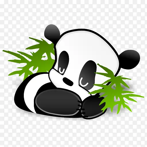 中国的熊猫竹子