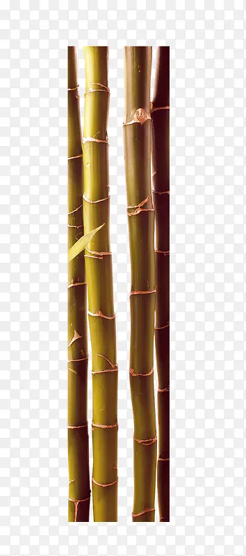 唯美中国风竹子