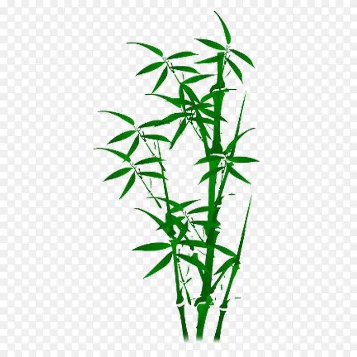 手绘竹子绿叶