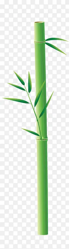 绿色竹子装饰图片