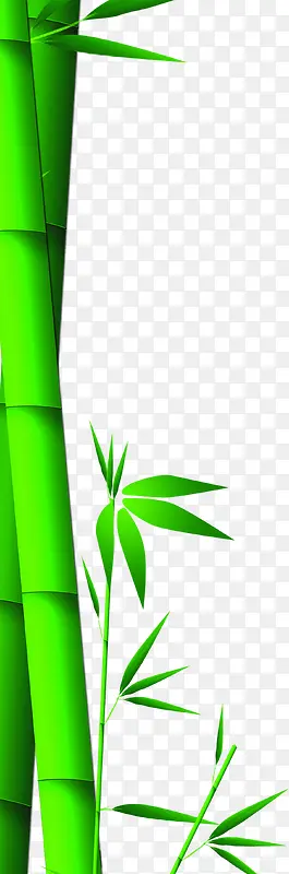 粽情端午绿色竹子