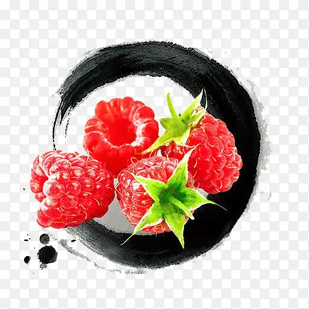 树莓中国水墨插画