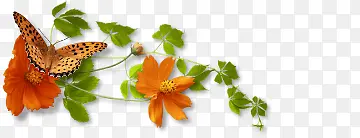 花卉图案素材装饰素材