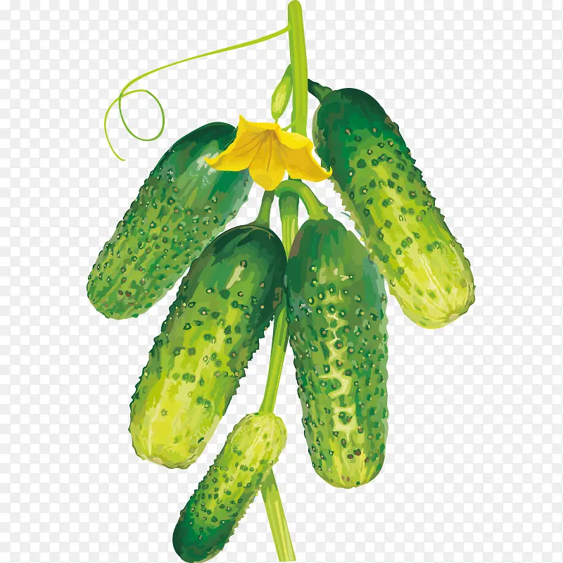 蔬菜 果蔬 水果 美食