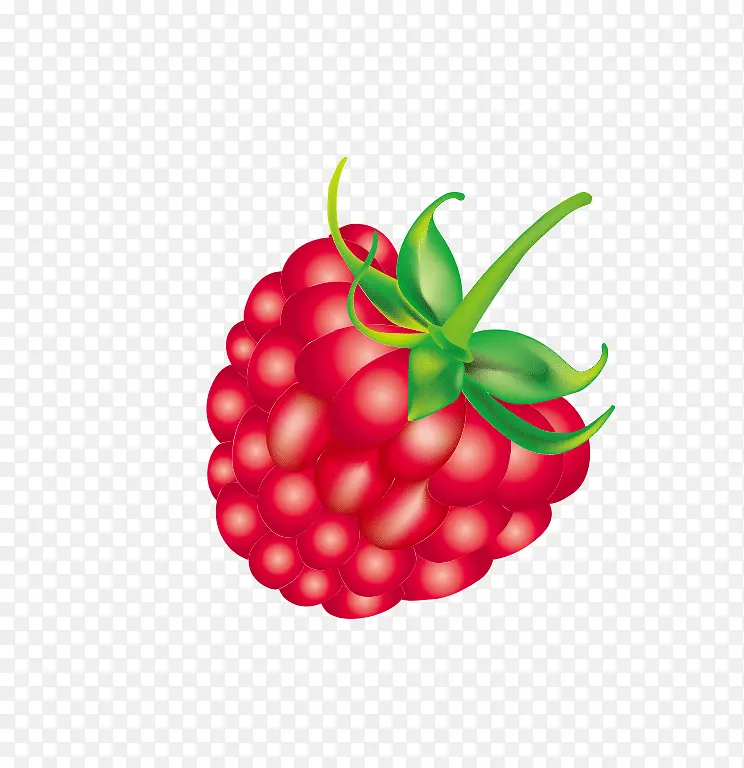 红色树莓