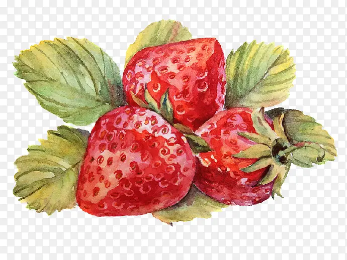 卡通水彩草莓