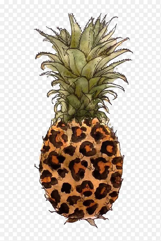 卡通豹纹菠萝