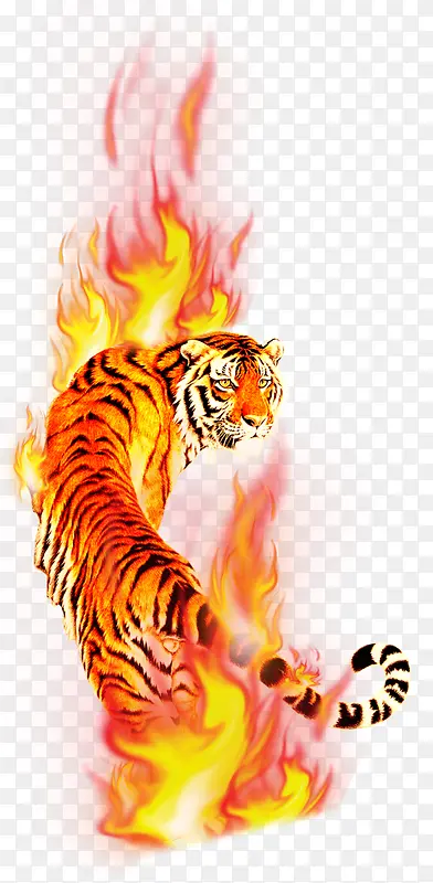 火焰老虎图片