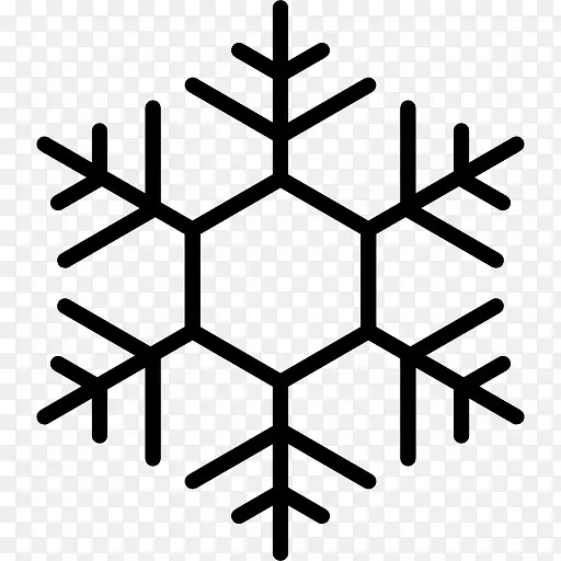 Snowflake 图标