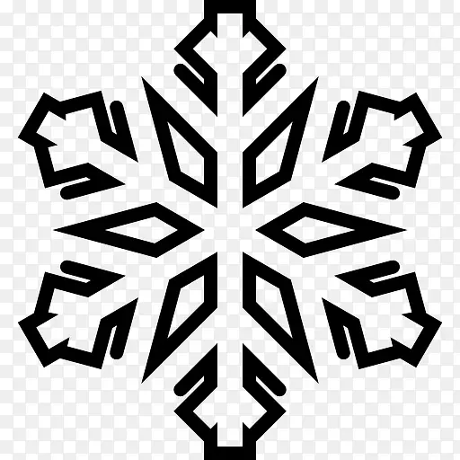 Snowflake 图标