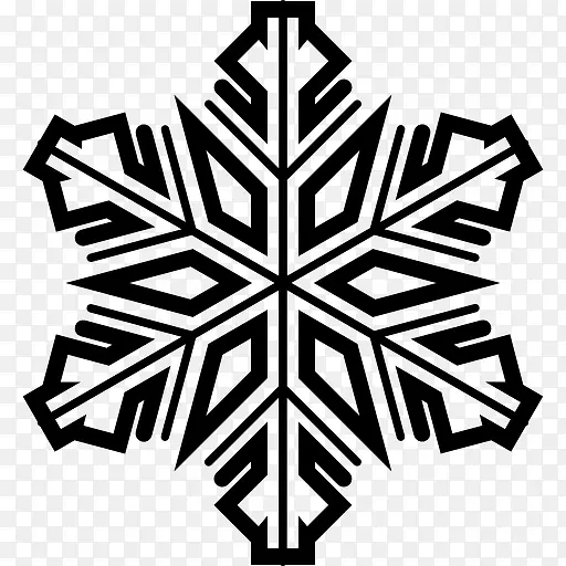 Snowflake 图标