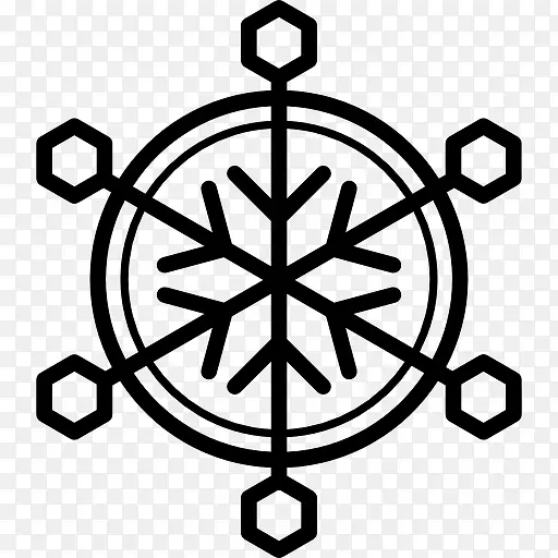 Snowflake 图标