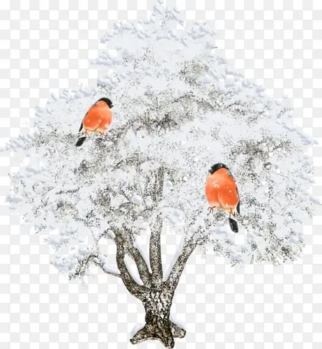 白色大树