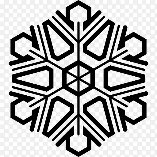 Snowflake 图标