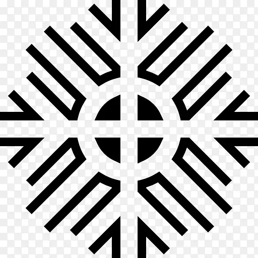 Snowflake 图标