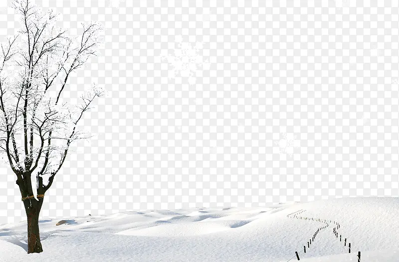 冬天雪地雪树