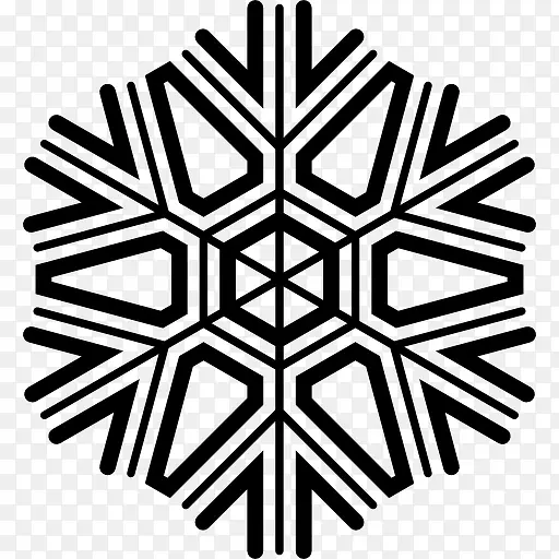 Snowflake 图标