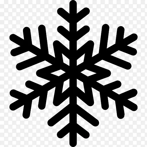 Snowflake 图标