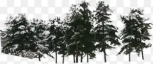 创意海报冬天的森林合成