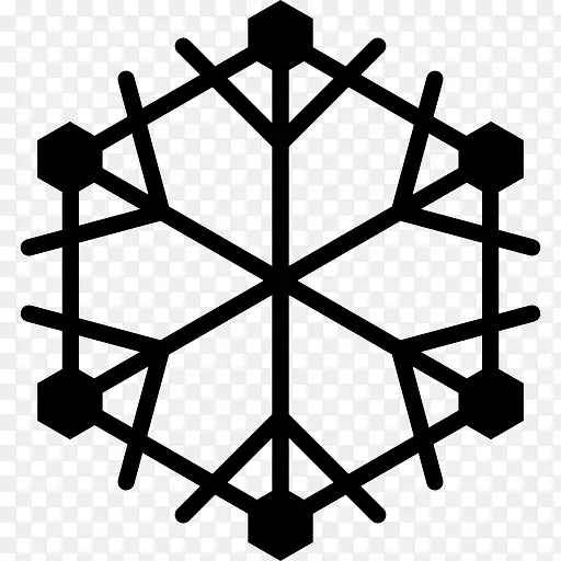 Snowflake 图标