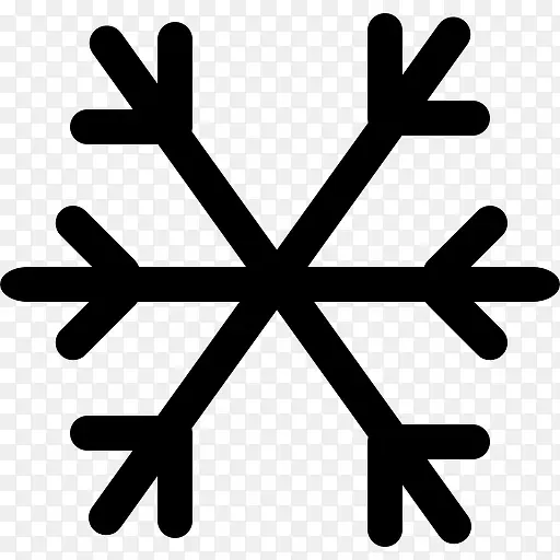 Snowflake 图标