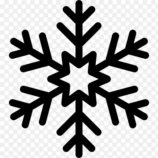 Snowflake 图标