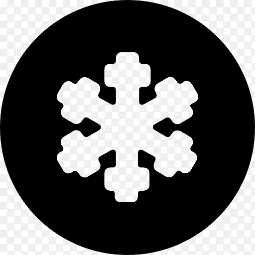 Snowflake 图标