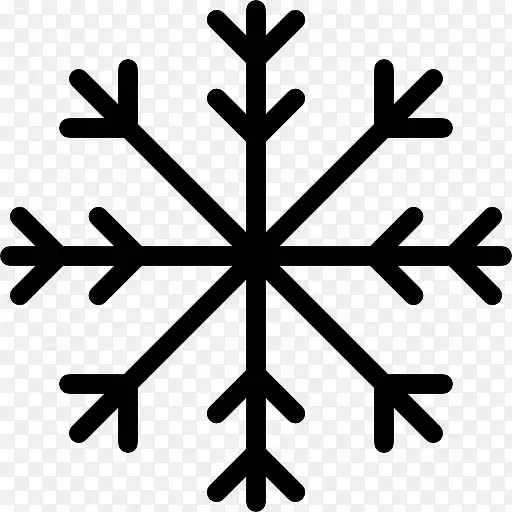 Snowflake 图标