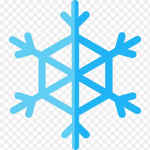 Snowflake 图标