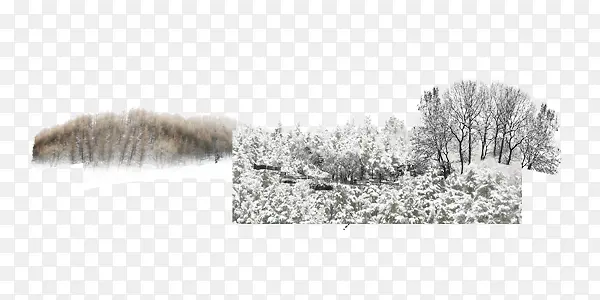 冬季雪花树丛