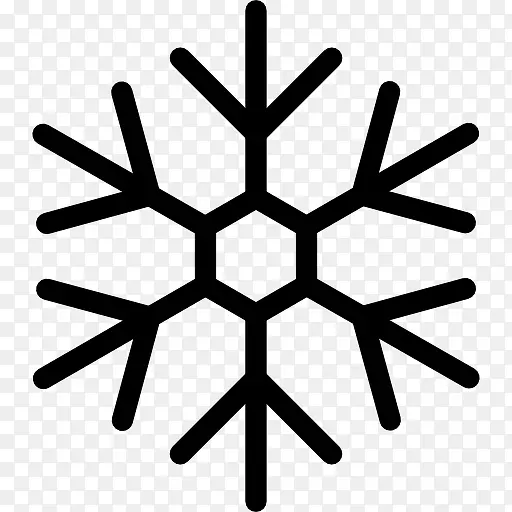 Snowflake 图标PNG图片素材下载_图片编号10238217-PNG素材网